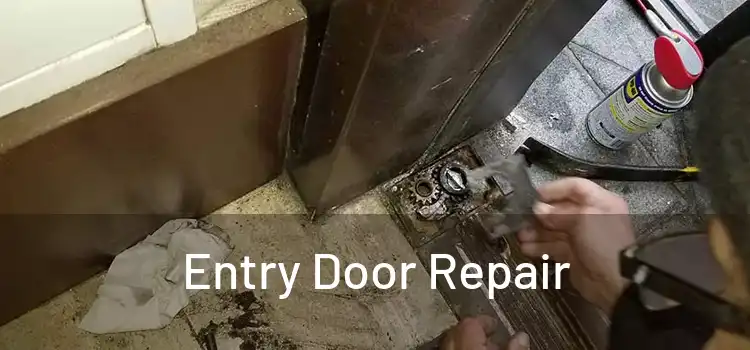 Entry Door Repair
