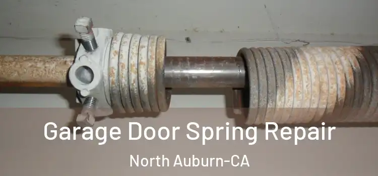 Garage Door Spring Repair North Auburn-CA
